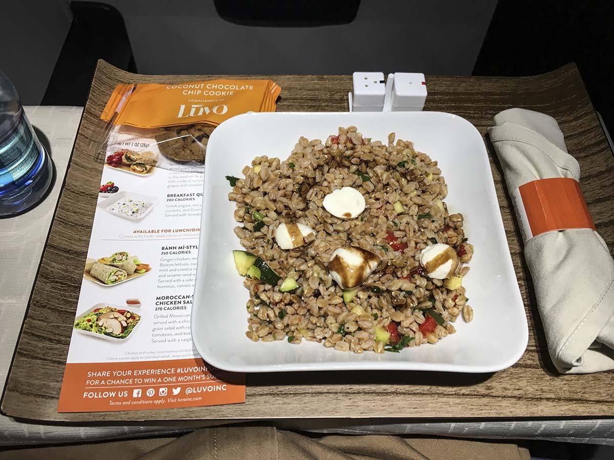 Delta Connection Embraer 175 first class meal