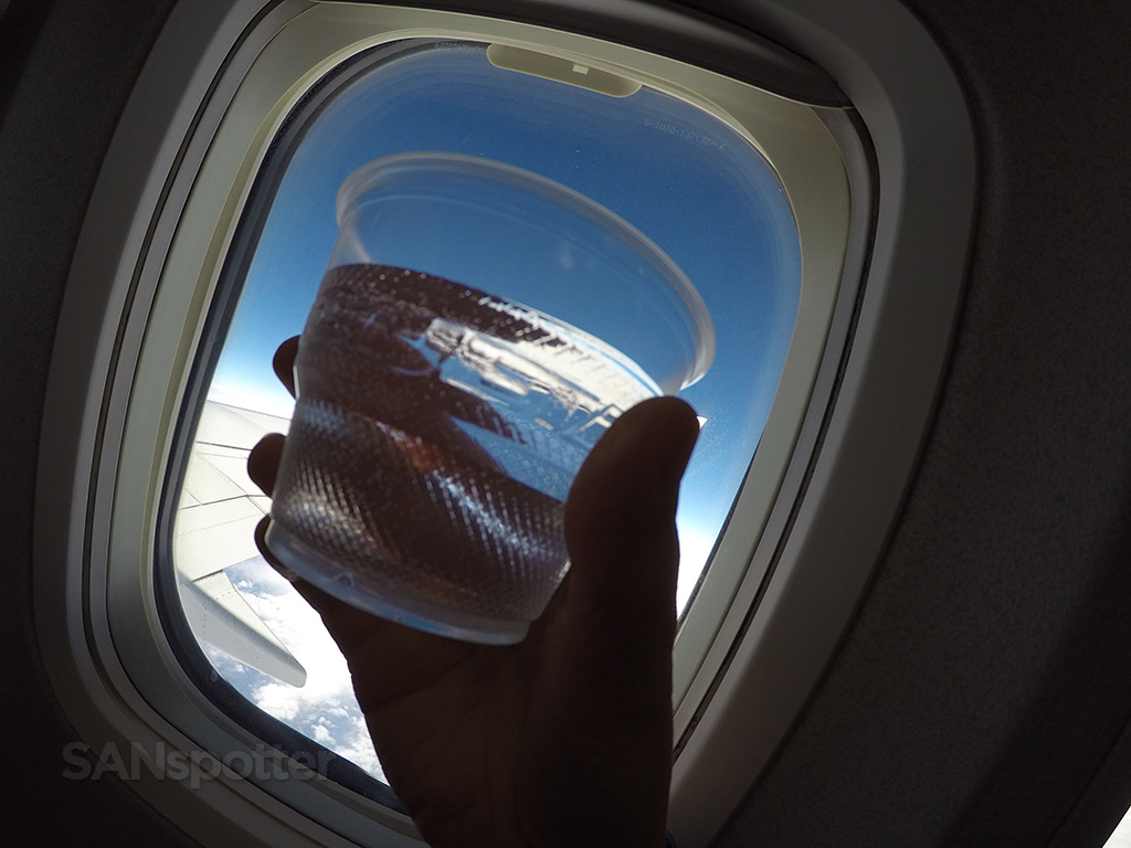 Enjoying the complementary beverage in WestJet 737-700 economy 2016