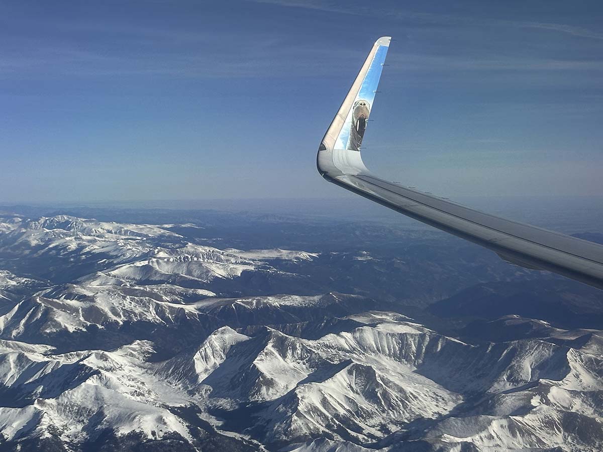 Frontier Airlines A321 winglet with Seymour the Walrus