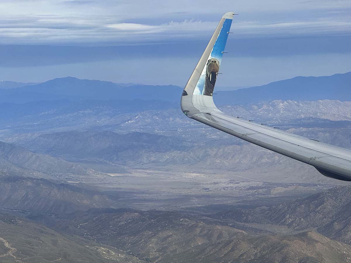 Seymour the Walrus on the winglet Frontier Airlines A321 while descending into San Diego