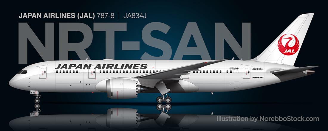 Japan Airlines 787-8 side view illustration by norebbostock.com